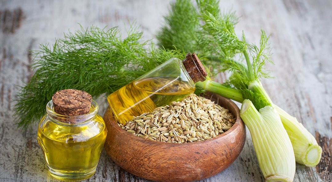 Dill Oil/ Dill Oil IP/ BP