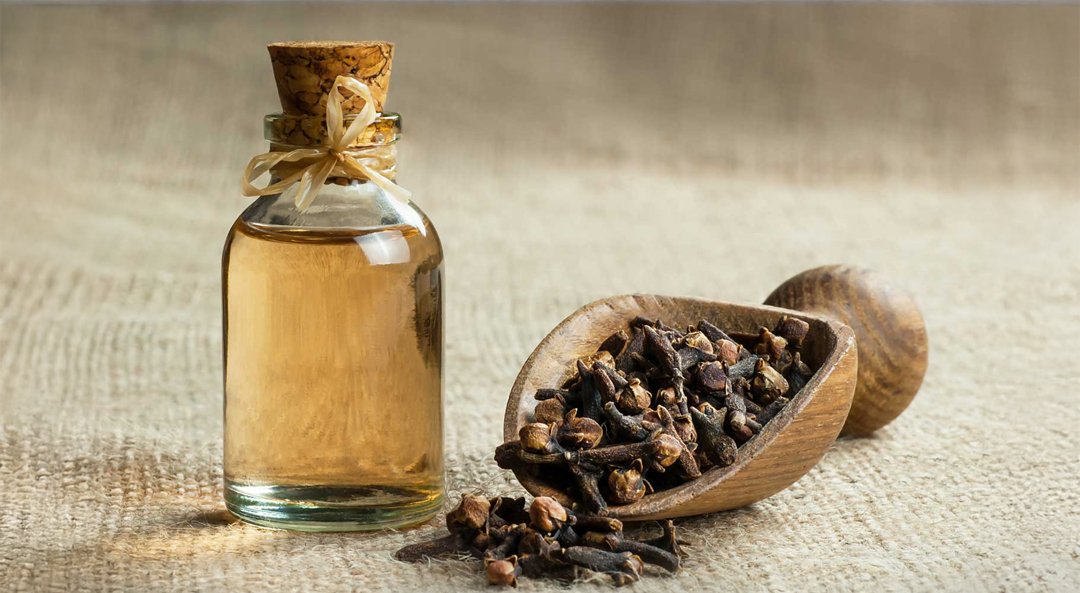 Clove CO₂ Extracted Oil