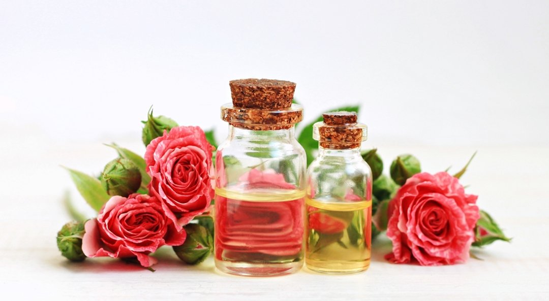 Rose Absolute