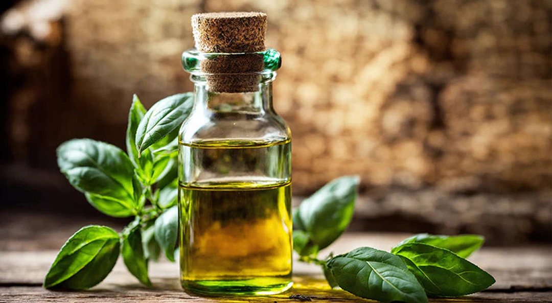 Cardamom