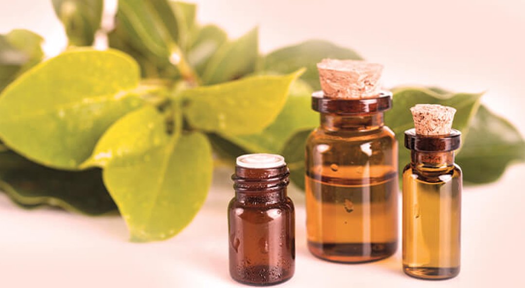 Cardamom