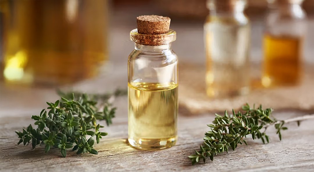Cardamom