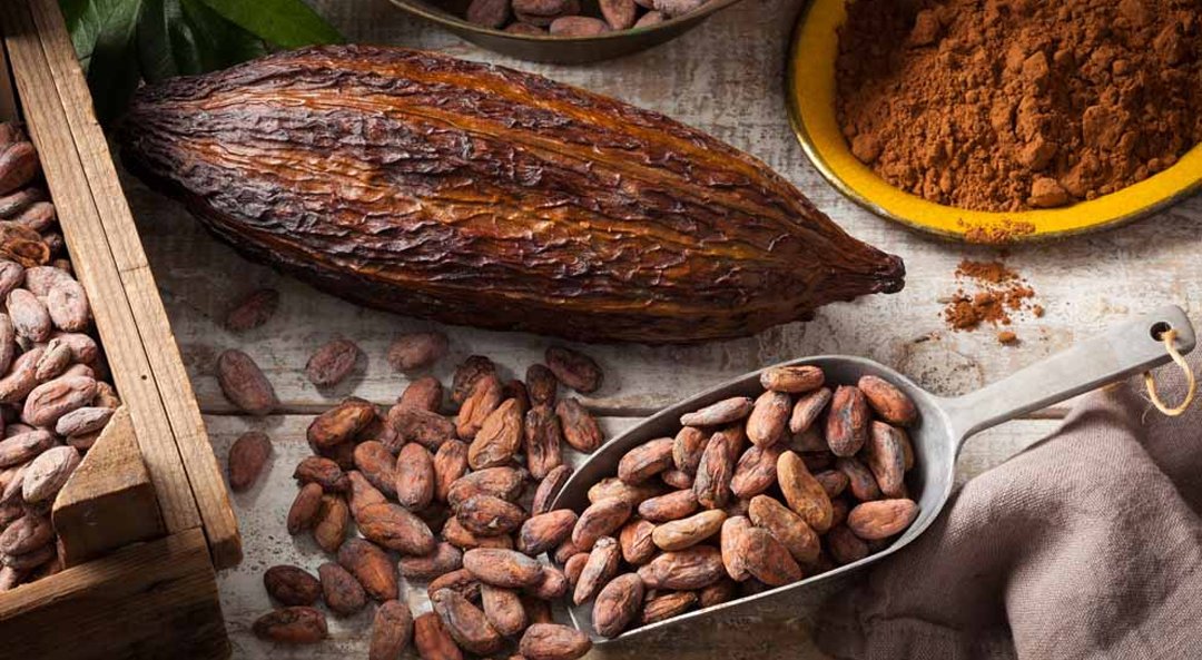 Cocoa Oleoresin