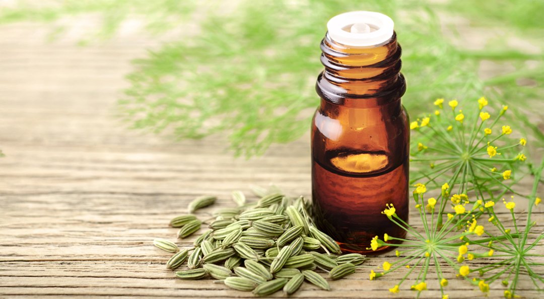 Fennel Oleoresin