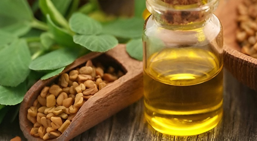 Fenugreek Oleoresin