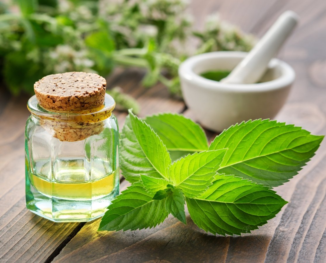 Mentha Oil Manufacturing Companies in India: A 2026 Buyer's Guide to Quality, Grades and Export Supply
