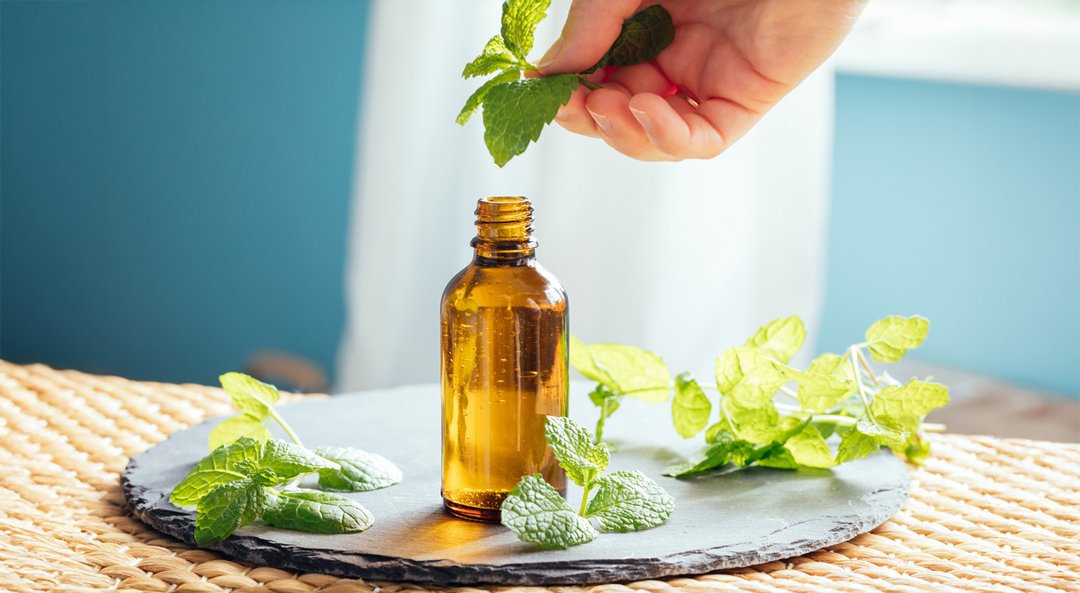 Ajwain Oil