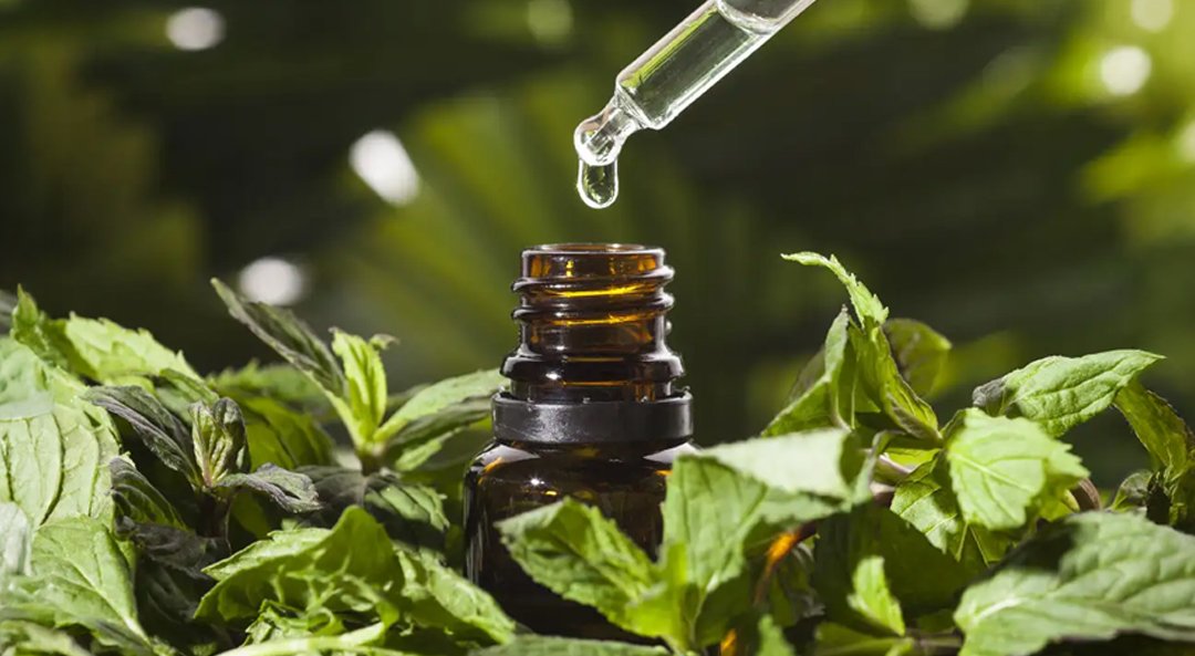 Nature Identical  MENTHA OIL IP / JP