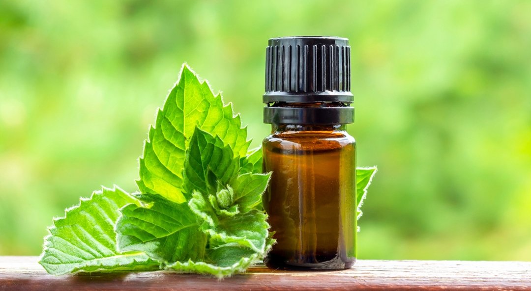 Bergamot Oil