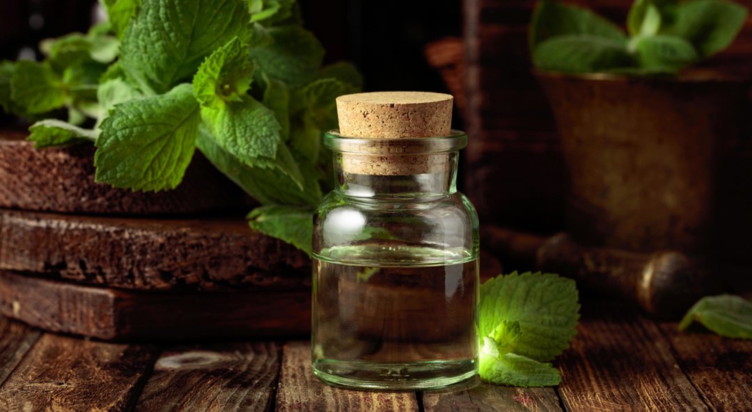 Cardamom
