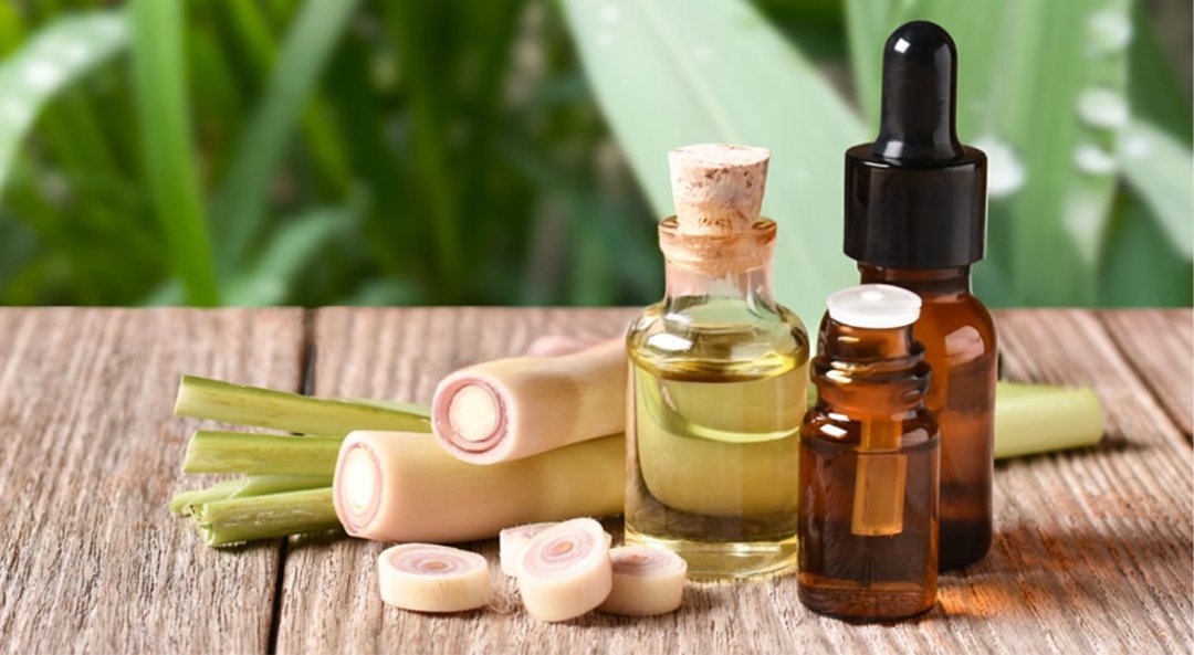 citronella-oil