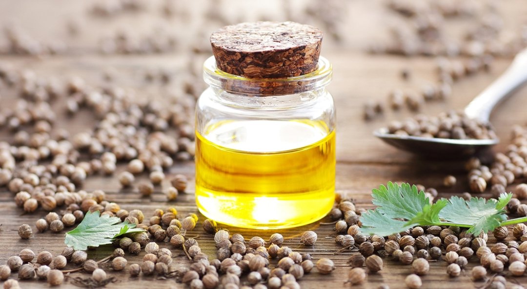 Ajwain Oil