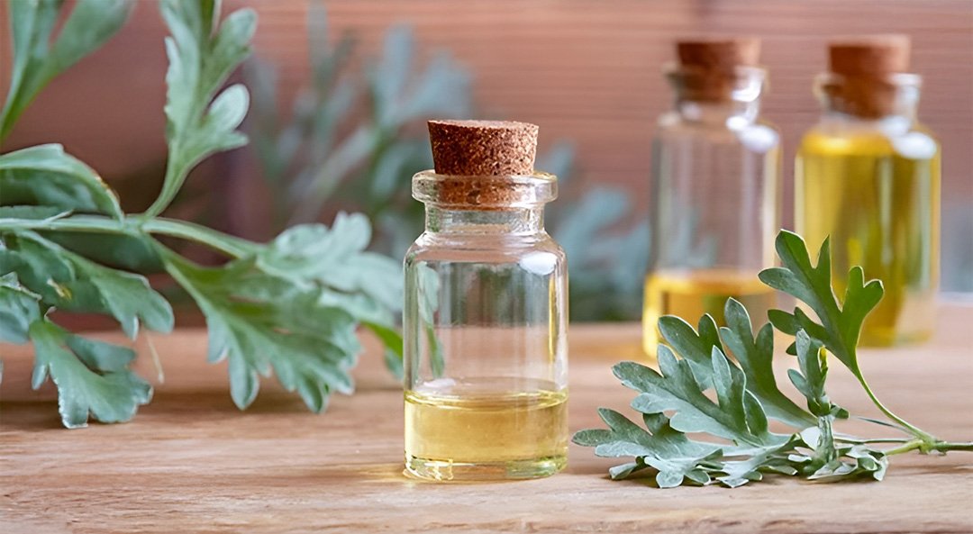 Davana Oil