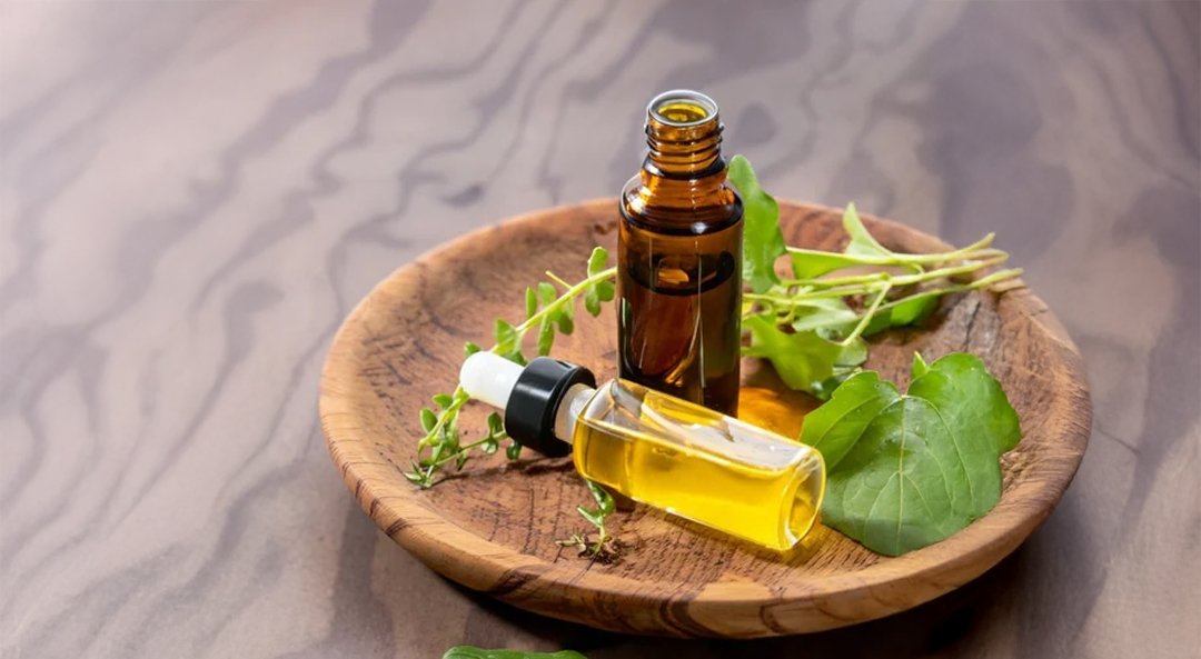 Holy Basil Oil