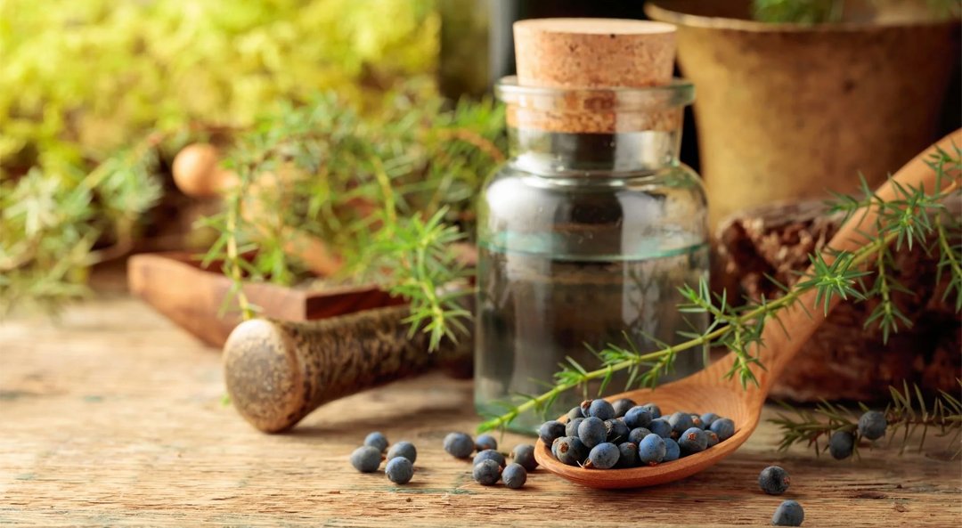 juniper-berry-oil