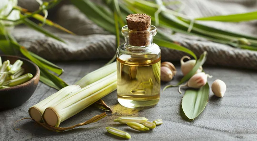 Lemongrass Oil