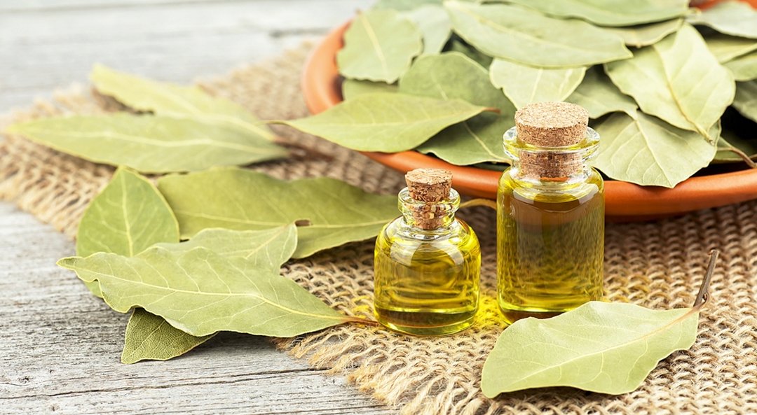 Basil Essential Oil