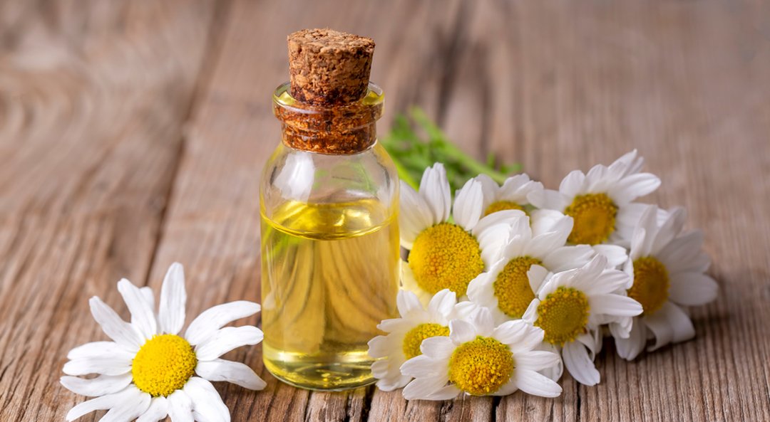 Chamomile Oil Reconstituted