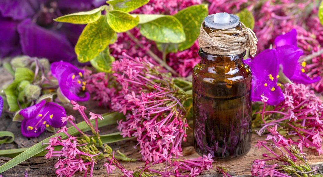 mentha-arvensis-oil