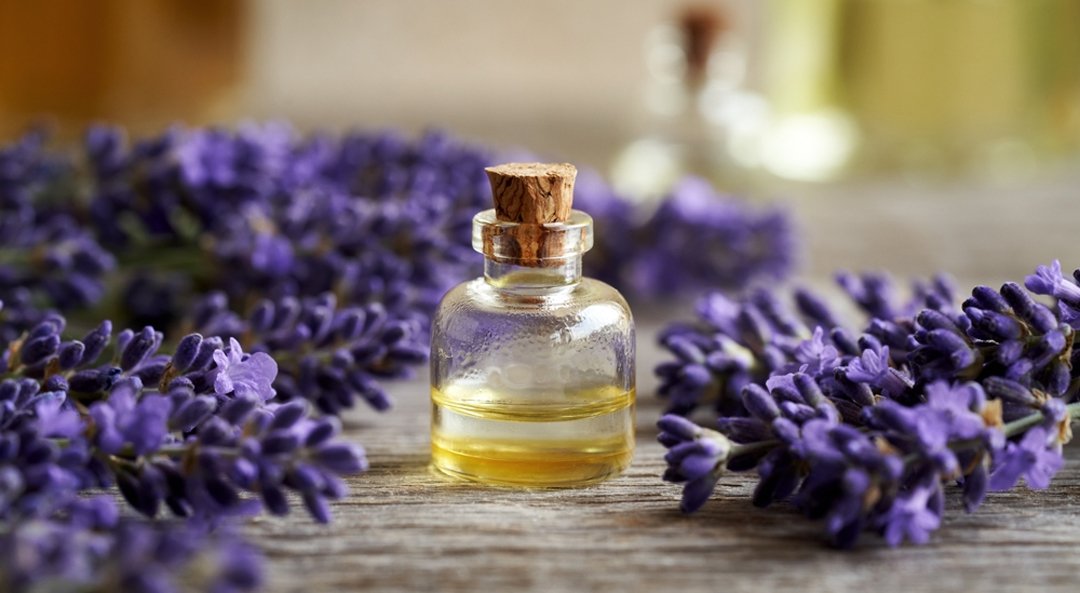 Lavander Oil Reconstituted