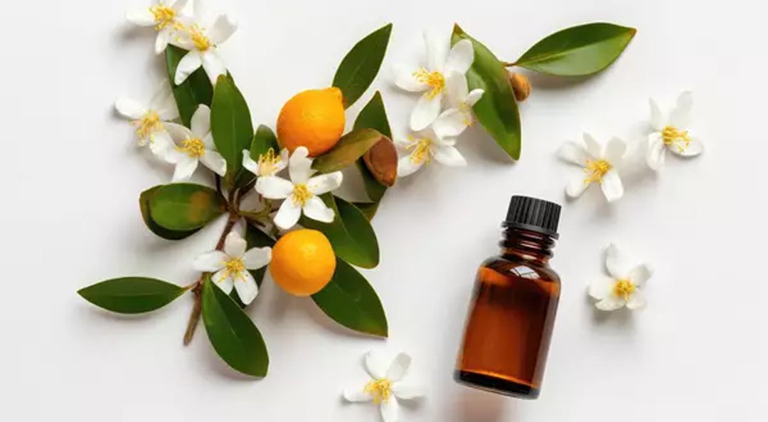 Neroli Oil Reconstituted 