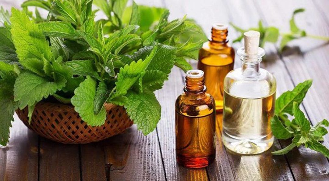 Patchouli Oil Reconstituted  