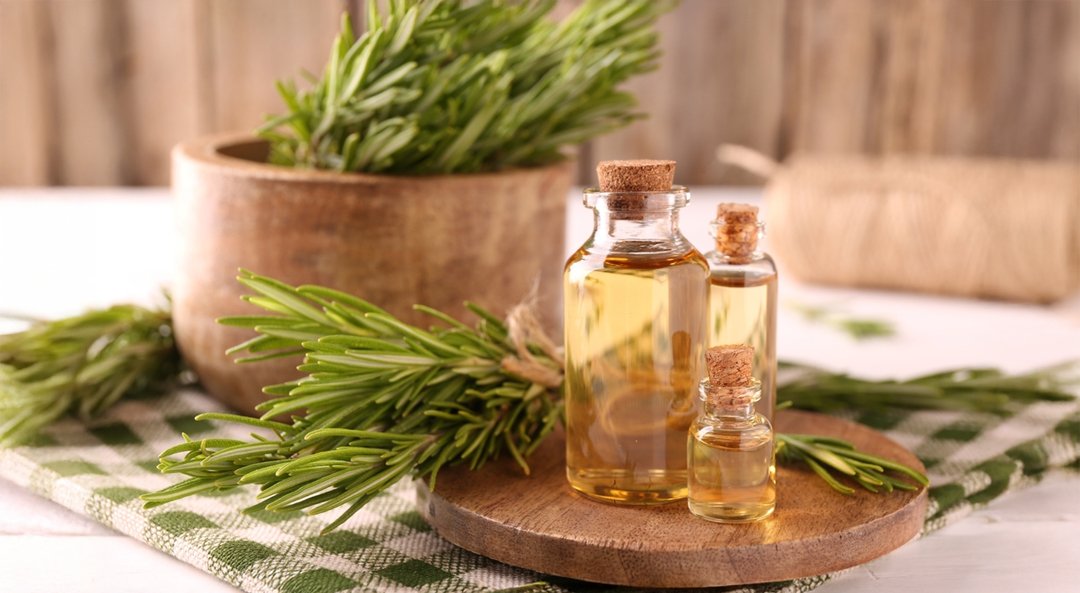 Rosemary Oil Reconstituted 